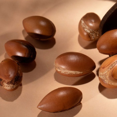 Le pouvoir de l’huile de jojoba 