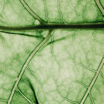 Faut-il vraiment tout « naturel » dans les soins ?